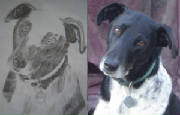 photodrawingralph.jpg
